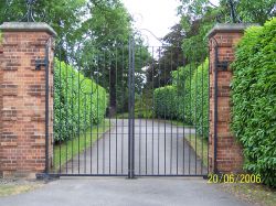 Eagle Residential Swing Gate